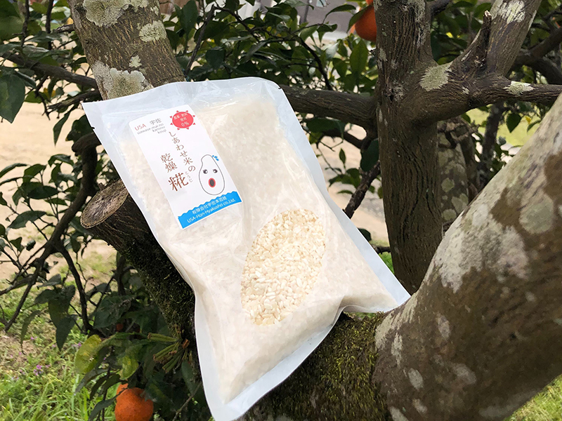 しあわせ米の乾燥糀